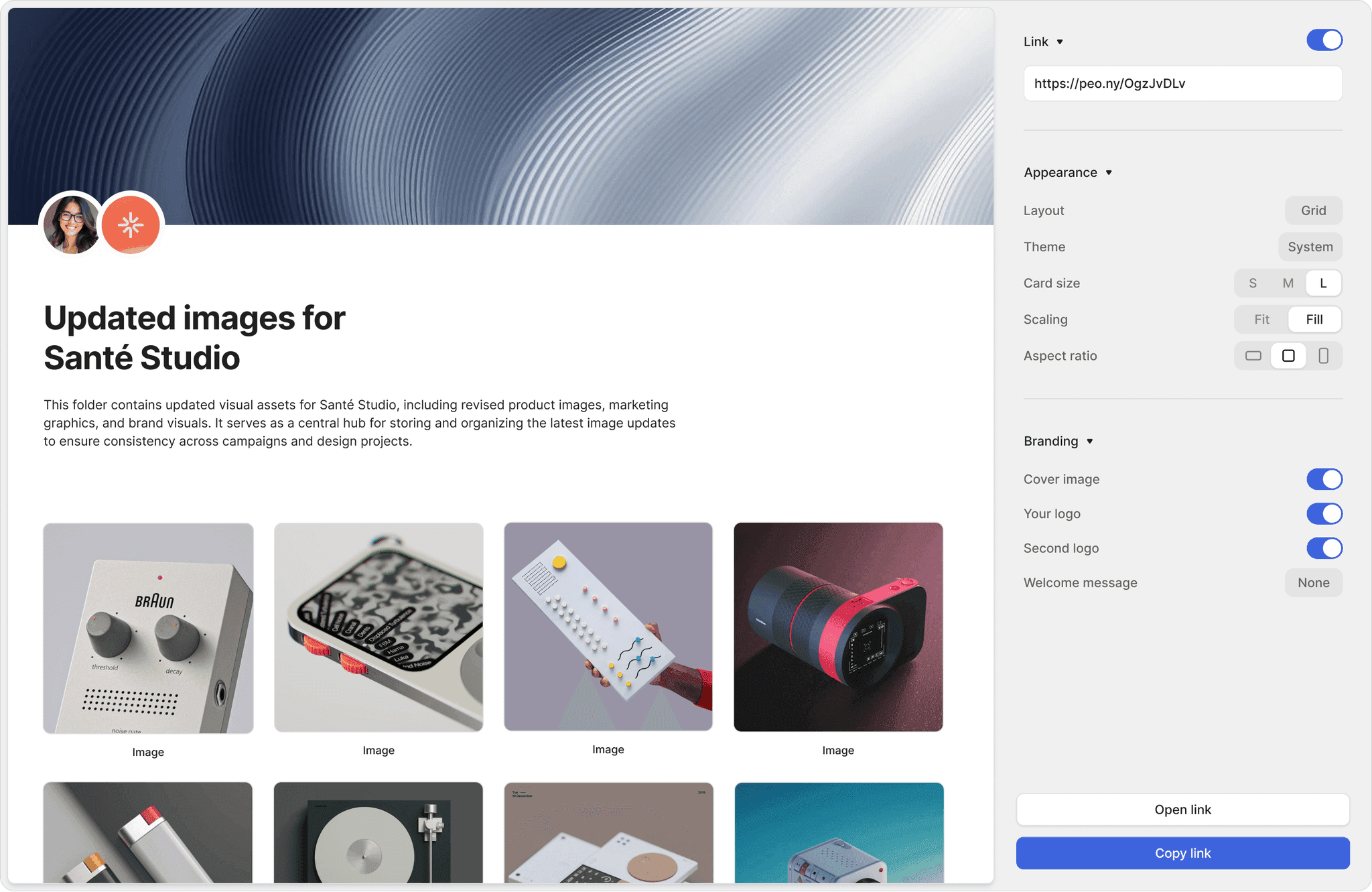 Branded data room link page with custom logo
